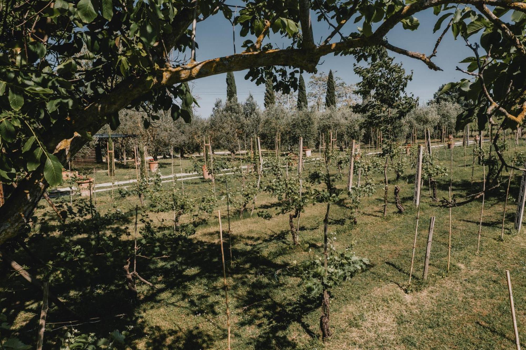 Podere Biagio Valiano Exterior photo